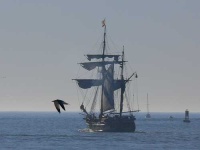 image of pirate_ship #784