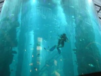image of scuba_diver