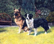 image of german_shepherd
