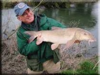 image of tench