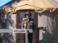 image of yurt