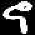 image of amharic