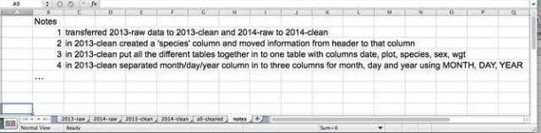image of spreadsheet