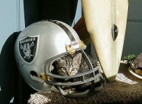 image of football_helmet