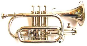 image of cornet
