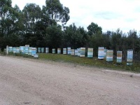 image of apiary