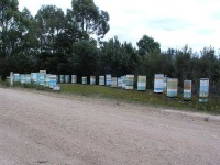 image of apiary #3