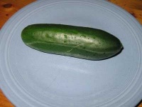 image of cucumber