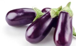 image of eggplant #15