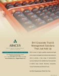 image of abacus #12