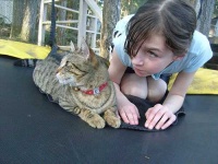 image of egyptian_cat