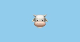 image of animal