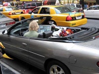 image of cab