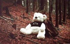 image of teddy_bear