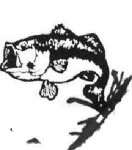 image of animal