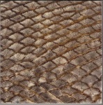 image of texture