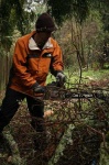 image of chain_saw #28