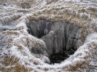 image of texture