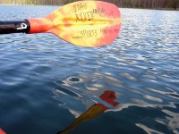 image of paddle