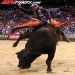 image of bull_riding #4