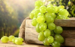 image of grapes #34