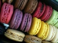 image of food
