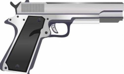 image of pistol