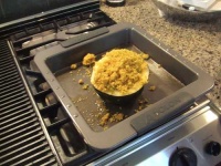 image of acorn_squash