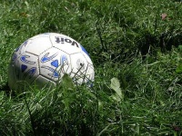 image of soccer_ball