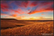 image of prairie
