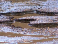 image of texture