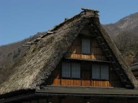 image of thatch