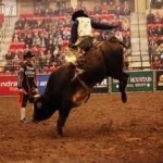 image of bull_riding #25