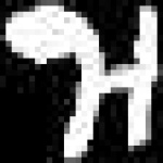 image of amharic
