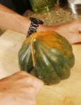 image of acorn_squash #17