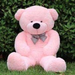 image of teddy_bear