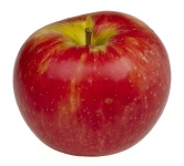 image of apple #3