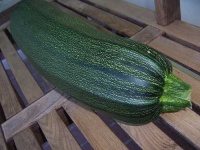 image of zucchini #6