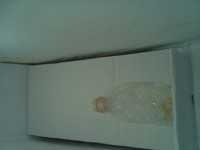 image of bottle_33cl
