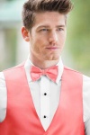 image of bowtie