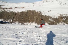 image of alp