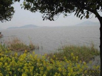 image of lakeside