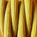 image of sweetcorn #3