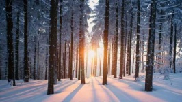 image of snowy