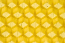 image of texture