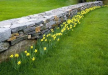image of stone_wall