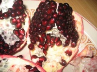 image of pomegranate
