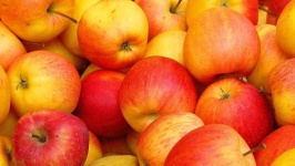 image of food