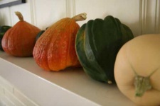 image of acorn_squash