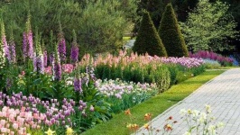 image of garden